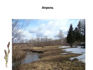 Апрель
 