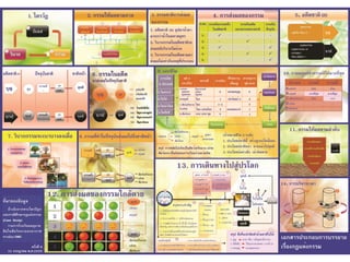 แผ่นพับวงจรชีวิต(กฏแห่งกรรม)