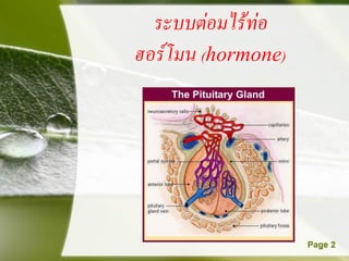 ระบบต่อมไร้ท่อ
ฮอร์โมน (hormone)
 