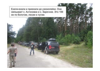 Ехали-ехали и приехали до узкоколейки. Она
связывает с. Антоновка и с. Заречное. Это 106
км по болотам, лесам и лугам.
 
