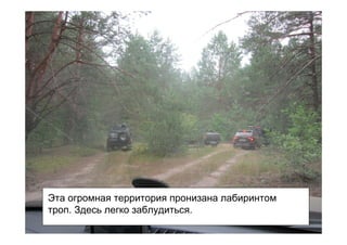 Эта огромная территория пронизана лабиринтом
троп. Здесь легко заблудиться.
 