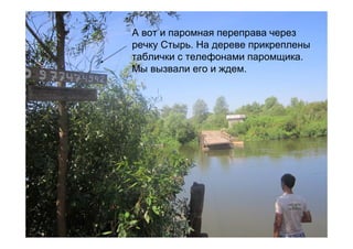 А вот и паромная переправа через
речку Стырь. На дереве прикреплены
таблички с телефонами паромщика.
Мы вызвали его и ждем.
 