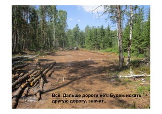 Всё. Дальше дороги нет. Будем искать
другую дорогу, значит...
 