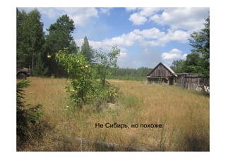 Не Сибирь, но похоже.
 