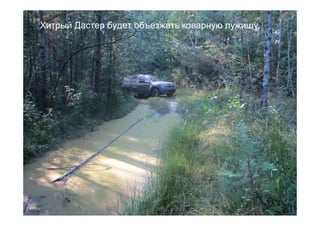 Хитрый Дастер будет объезжать коварную лужищу.
 