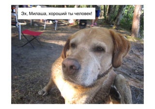 Эх, Милаша, хороший ты человек!
 