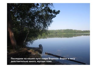 Последнее на нашем пути озеро Воронки. Ворон в лесу
действительно много, мусора тоже.
 