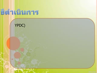 YPDC)
 