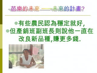 ◎有些農民認為穩定就好,
◎但產銷班副班長則說他一直在
   改良新品種,賺更多錢.
 