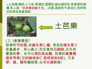 6.土芭樂:硬的,小小的,青澀的.澀澀的,越白越好吃.有香甜的感
覺,有人說「吃芭樂放槍子兒」(台語)是說籽不易消化,但籽附
近的果肉是最甜的.




                   土芭樂
(三.)營養價值?
芭樂籽可防癌,有維生素C,鐵, 果皮的維生素Ｃ
含量最多，果心最少,而且富有石細胞,另外有
豐富的鉀，也可以預防高血壓, 芭樂的營養價
值非常高(它的維他命C 是柑桔的8倍), 又含
鉀、鎂、磷等礦物質,也可以減肥喔!
 