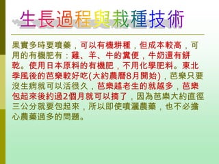 果實多時要噴藥，可以有機耕種，但成本較高，可
用的有機肥有：雞、羊、牛的糞便，牛奶還有餅
乾。使用日本原料的有機肥，不用化學肥料。東北
季風後的芭樂較好吃(大約農曆8月開始)，芭樂只要
沒生病就可以活很久，芭樂越老生的就越多，芭樂
包起來後約過2個月就可以摘了，因為芭樂大約直徑
三公分就要包起來，所以即使噴灑農藥，也不必擔
心農藥過多的問題。
 