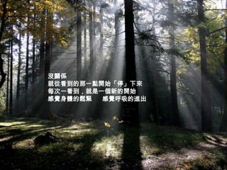 沒關係
就從看到的那一點開始「停」下來
每次一看到，就是一個新的開始
感覺身體的鬆緊  感覺呼吸的進出
 