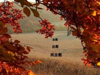 放鬆

放鬆

再放鬆
 