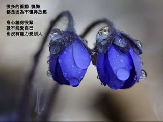 很多的衝動 懊悔
都是因為不懂得放鬆

身心繃得很緊
就不能愛自己
也沒有能力愛別人
 