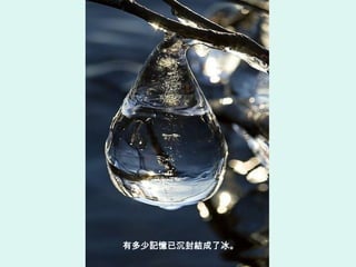 有多少記憶已沉封結成了冰。
 