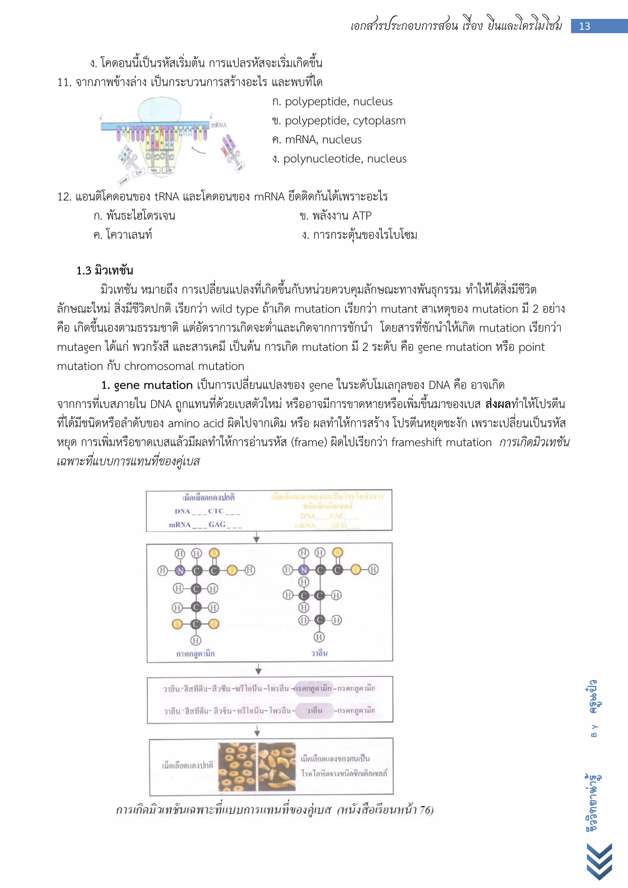 เอกสารประกอบการสอน เรื่อง ยีนและโครโมโซม          13


      ง. โคดอนนี้เป็นรหัสเริ่มต้น การแปลรหัสจะเริ่มเกิดขึ้น
11. จากภาพข้างล่าง เป็นกระบวนการสร้างอะไร และพบที่ใด
                                             ก. polypeptide, nucleus
                                             ข. polypeptide, cytoplasm
                                             ค. mRNA, nucleus
                                             ง. polynucleotide, nucleus

12. แอนติโคดอนของ tRNA และโคดอนของ mRNA ยึดติดกันได้เพราะอะไร
       ก. พันธะไฮโดรเจน                    ข. พลังงาน ATP
       ค. โควาเลนท์                        ง. การกระตุ้นของไรโบโซม

      1.3 มิวเทชัน
            มิวเทชัน หมายถึง การเปลี่ยนแปลงที่เกิดขึ้นกับหน่วยควบคุมลักษณะทางพันธุกรรม ทาให้ได้สิ่งมีชีวิต
ลักษณะใหม่ สิ่งมีชีวิตปกติ เรียกว่า wild type ถ้าเกิด mutation เรียกว่า mutant สาเหตุของ mutation มี 2 อย่าง
คือ เกิดขึ้นเองตามธรรมชาติ แต่อัตราการเกิดจะต่าและเกิดจากการชักนา โดยสารที่ชักนาให้เกิด mutation เรียกว่า
mutagen ได้แก่ พวกรังสี และสารเคมี เป็นต้น การเกิด mutation มี 2 ระดับ คือ gene mutation หรือ point
mutation กับ chromosomal mutation
            1. gene mutation เป็นการเปลี่ยนแปลงของ gene ในระดับโมเลกุลของ DNA คือ อาจเกิด
จากการที่เบสภายใน DNA ถูกแทนที่ด้วยเบสตัวใหม่ หรืออาจมีการขาดหายหรือเพิ่มขึ้นมาของเบส ส่งผลทาให้โปรตีน
ที่ได้มีชนิดหรือลาดับของ amino acid ผิดไปจากเดิม หรือ ผลทาให้การสร้าง โปรตีนหยุดชะงัก เพราะเปลี่ยนเป็นรหัส
หยุด การเพิ่มหรือขาดเบสแล้วมีผลทาให้การอ่านรหัส (frame) ผิดไปเรียกว่า frameshift mutation การเกิดมิวเทชัน
เฉพาะที่แบบการแทนที่ของคู่เบส




                                                                                                               ครูแป๋ว
                                                                                                                 By
                                                                                                               ชีววิทยาน่ารู้
 