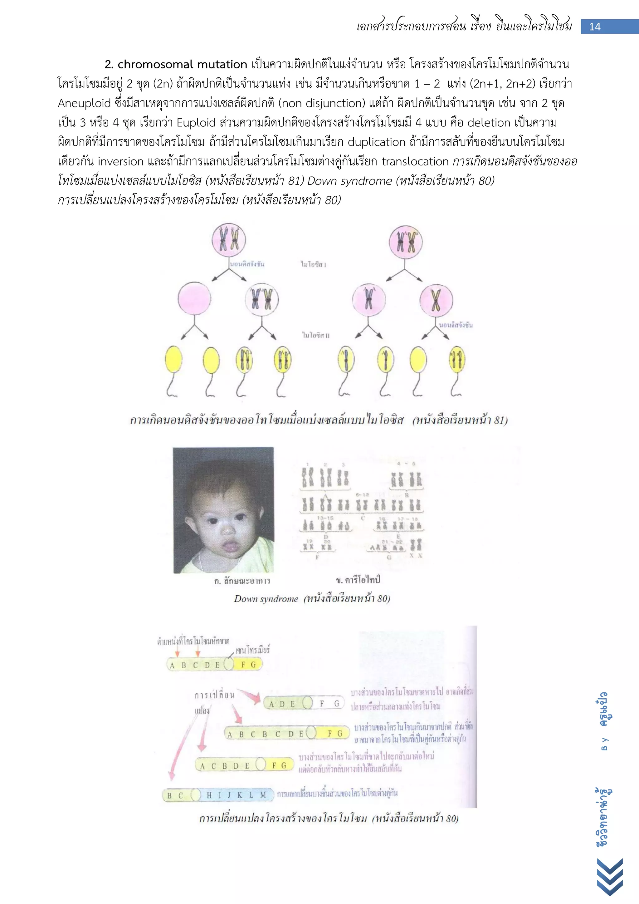 เอกสารประกอบการสอน เรื่อง ยีนและโครโมโซม         14


           2. chromosomal mutation เป็นความผิดปกติในแง่จานวน หรือ โครงสร้างของโครโมโซมปกติจานวน
โครโมโซมมีอยู่ 2 ชุด (2n) ถ้าผิดปกติเป็นจานวนแท่ง เช่น มีจานวนเกินหรือขาด 1 – 2 แท่ง (2n+1, 2n+2) เรียกว่า
Aneuploid ซึ่งมีสาเหตุจากการแบ่งเซลล์ผิดปกติ (non disjunction) แต่ถ้า ผิดปกติเป็นจานวนชุด เช่น จาก 2 ชุด
เป็น 3 หรือ 4 ชุด เรียกว่า Euploid ส่วนความผิดปกติของโครงสร้างโครโมโซมมี 4 แบบ คือ deletion เป็นความ
ผิดปกติที่มีการขาดของโครโมโซม ถ้ามีส่วนโครโมโซมเกินมาเรียก duplication ถ้ามีการสลับที่ของยีนบนโครโมโซม
เดียวกัน inversion และถ้ามีการแลกเปลี่ยนส่วนโครโมโซมต่างคู่กันเรียก translocation การเกิดนอนดิสจังชันของออ
โทโซมเมื่อแบ่งเซลล์แบบไมโอซิส (หนังสือเรียนหน้า 81) Down syndrome (หนังสือเรียนหน้า 80)
การเปลี่ยนแปลงโครงสร้างของโครโมโซม (หนังสือเรียนหน้า 80)




                                                                                                             ครูแป๋ว
                                                                                                               By
                                                                                                             ชีววิทยาน่ารู้
 