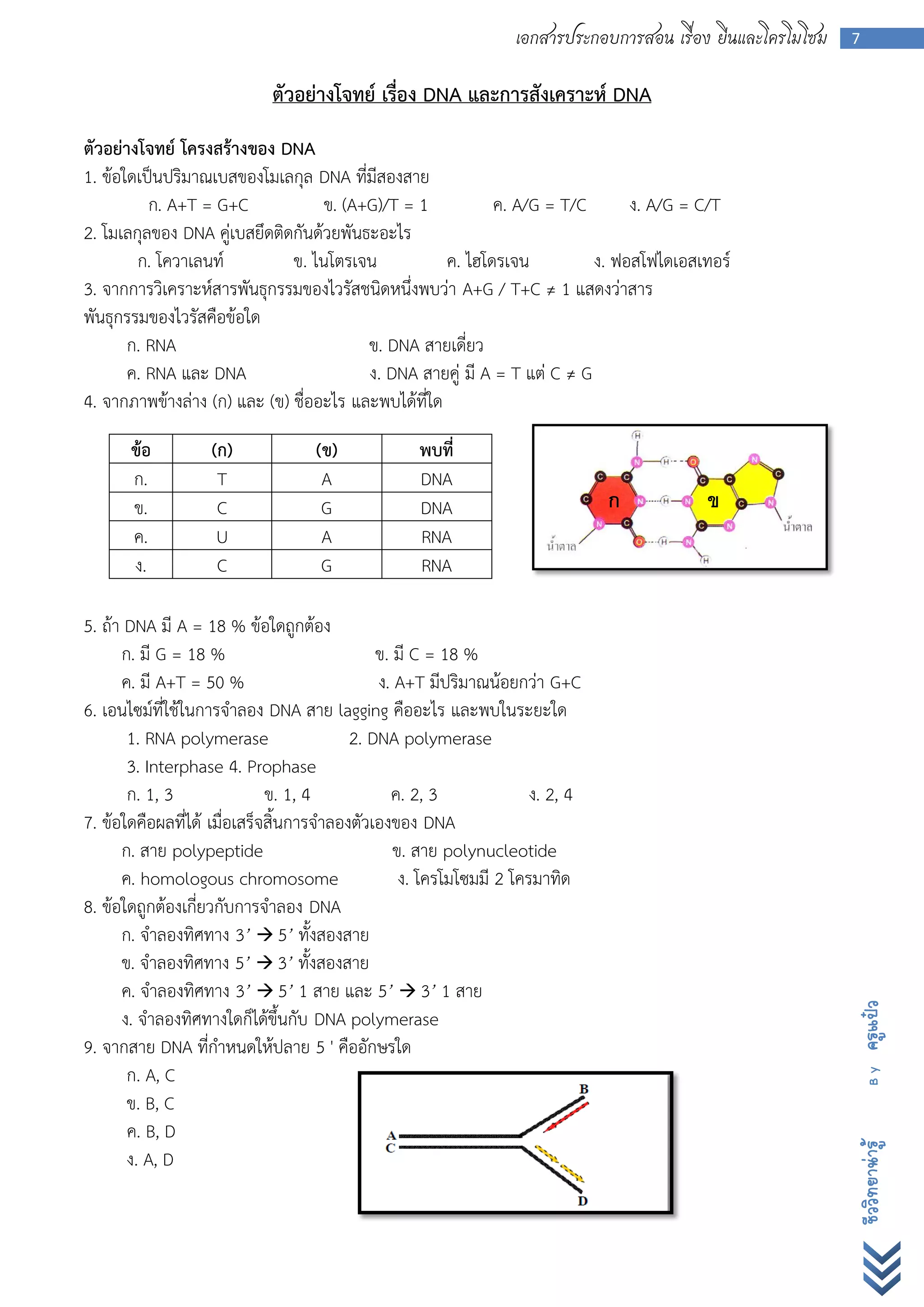 เอกสารประกอบการสอน เรื่อง ยีนและโครโมโซม   7


                            ตัวอย่างโจทย์ เรื่อง DNA และการสังเคราะห์ DNA
ตัวอย่างโจทย์ โครงสร้างของ DNA
1. ข้อใดเป็นปริมาณเบสของโมเลกุล DNA ที่มีสองสาย
          ก. A+T = G+C             ข. (A+G)/T = 1           ค. A/G = T/C       ง. A/G = C/T
2. โมเลกุลของ DNA คู่เบสยึดติดกันด้วยพันธะอะไร
        ก. โควาเลนท์          ข. ไนโตรเจน            ค. ไฮโดรเจน          ง. ฟอสโฟไดเอสเทอร์
3. จากการวิเคราะห์สารพันธุกรรมของไวรัสชนิดหนึ่งพบว่า A+G / T+C ≠ 1 แสดงว่าสาร
พันธุกรรมของไวรัสคือข้อใด
       ก. RNA                            ข. DNA สายเดี่ยว
       ค. RNA และ DNA                    ง. DNA สายคู่ มี A = T แต่ C ≠ G
4. จากภาพข้างล่าง (ก) และ (ข) ชื่ออะไร และพบได้ที่ใด
       ข้อ         (ก)             (ข)             พบที่
       ก.           T               A              DNA
       ข.           C               G              DNA                         ก          ข
       ค.           U               A              RNA
       ง.           C               G              RNA

5. ถ้า DNA มี A = 18 % ข้อใดถูกต้อง
      ก. มี G = 18 %                          ข. มี C = 18 %
      ค. มี A+T = 50 %                        ง. A+T มีปริมาณน้อยกว่า G+C
6. เอนไซม์ที่ใช้ในการจาลอง DNA สาย lagging คืออะไร และพบในระยะใด
       1. RNA polymerase                  2. DNA polymerase
       3. Interphase 4. Prophase
       ก. 1, 3                ข. 1, 4           ค. 2, 3              ง. 2, 4
7. ข้อใดคือผลที่ได้ เมื่อเสร็จสิ้นการจาลองตัวเองของ DNA
      ก. สาย polypeptide                         ข. สาย polynucleotide
      ค. homologous chromosome                    ง. โครโมโซมมี 2 โครมาทิด
8. ข้อใดถูกต้องเกี่ยวกับการจาลอง DNA
      ก. จาลองทิศทาง 3’  5’ ทั้งสองสาย
      ข. จาลองทิศทาง 5’  3’ ทั้งสองสาย
      ค. จาลองทิศทาง 3’  5’ 1 สาย และ 5’  3’ 1 สาย
                                                                                                             ครูแป๋ว




      ง. จาลองทิศทางใดก็ได้ขึ้นกับ DNA polymerase
9. จากสาย DNA ที่กาหนดให้ปลาย 5 ' คืออักษรใด
       ก. A, C
                                                                                                               By




       ข. B, C
       ค. B, D
                                                                                                             ชีววิทยาน่ารู้




       ง. A, D
 