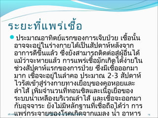 ระยะที่แ พร่เ ชื้อ
 ประมำณอำทิตย์แรกของกำรเจ็บป่วย เชื้อนั้น
     อำจจะอยู่ในร่ำงกำยได้เป็นสัปดำห์หลังจำก
     อำกำรดีขึ้นแล้ว ซึ่งยังสำมำรถติดต่อสู่ผอื่นได้
                                             ู้
     แม้ว่ำจะหำยแล้ว กำรแพร่เชื้อมักเกิดได้ง่ำยใน
     ช่วงสัปดำห์แรกของกำรป่วย ซึ่งมีเชือออกมำ
                                          ้
     มำก เชือจะอยู่ในลำำคอ ประมำณ 2-3 สัปดำห์
             ้
     ไวรัสเข้ำสูร่ำงกำยทำงเยื่อบุของคอหอยและ
                 ่
     ลำำไส้ เพิ่มจำำนวนที่ทอนซิลและเนื้อเยื่อของ
     ระบบนำ้ำเหลืองบริเวณลำำไส้ และเชื้อจะออกมำ
     กับอุจจำระ ยังไม่มีหลักฐำนที่เชื่อถือได้ว่ำ กำร
     แพร่กระจำยของโรคเกิดจำกแมลง นำ้ำ อำหำร
18/08/12        น.ส.ศิรินวล สันติรักษ์โยธิน รหัส 45    14
 