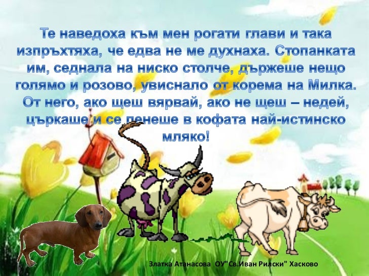 Писмо на един дакел