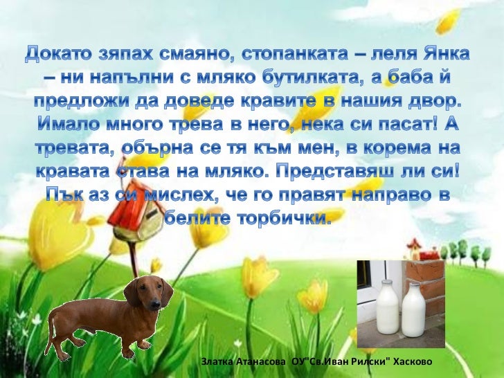Писмо на един дакел