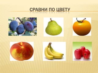 СРАВНИ ПО ЦВЕТУ
 