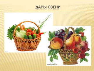 ДАРЫ ОСЕНИ
 