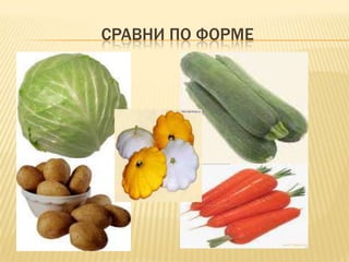 СРАВНИ ПО ФОРМЕ
 