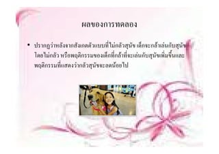 ผลของการทดลอง
• ปรากฏวาหลังจากสังเกตตัวแบบที่ไมกลัวสุนัข เด็กจะกลาเลนกับสุนัข
                                                ็     
  โดยไมกลัว หรือพฤติกรรมของเด็กทีกลาที่จะเลนกับสุนัขเพิ่มขึ้นและ
                                  ่
  พฤติกรรมที่แสดงวากลัวสุนัขจะลดนอยไป
 