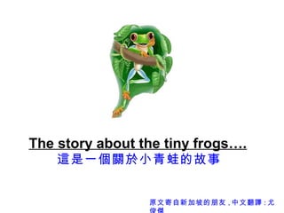 The story about the tiny frogs….
    這是一個關於小青蛙的故事


                 原文寄自新加坡的朋友 , 中文翻譯 : 尤
 