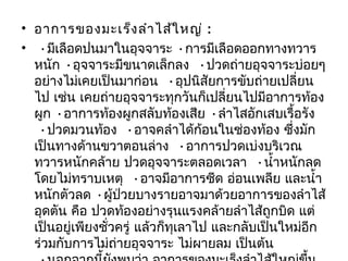 • อาการของมะเร็ง ลำา ไส้ใ หญ่ :
•  •มีเลือดปนมาในอุจจาระ •การมีเลือดออกทางทวาร
  หนัก •อุจจาระมีขนาดเล็กลง  •ปวดถ่ายอุจจาระบ่อยๆ
  อย่างไม่เคยเป็นมาก่อน  •อุปนิสัยการขับถ่ายเปลี่ยน
  ไป เช่น เคยถ่ายอุจจาระทุกวันก็เปลี่ยนไปมีอาการท้อง
  ผูก •อาการท้องผูกสลับท้องเสีย •ลำาไสอักเสบเรื้อรัง
   •ปวดมวนท้อง  •อาจคลำาได้ก้อนในช่องท้อง ซึ่งมัก
  เป็นทางด้านขวาตอนล่าง  •อาการปวดเบ่งบริเวณ
  ทวารหนักคล้าย ปวดอุจจาระตลอดเวลา  •นำ้าหนักลด
  โดยไม่ทราบเหตุ  •อาจมีอาการซีด อ่อนเพลีย และนำ้า
  หนักตัวลด •ผู้ป่วยบางรายอาจมาด้วยอาการของลำาไส้
  อุดตัน คือ ปวดท้องอย่างรุนแรงคล้ายลำาไส้ถูกบิด แต่
  เป็นอยูเพียงชั่วครู่ แล้วก็ทเลาไป และกลับเป็นใหม่อีก
          ่                   ุ
  ร่วมกับการไม่ถายอุจจาระ ไม่ผายลม เป็นต้น
                  ่
 