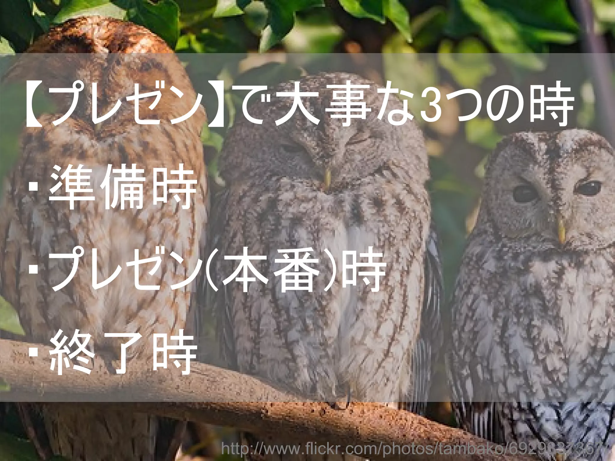【プレゼン】で大事な3つの時
・準備時
・プレゼン(本番)時
・終了時
       http://www.flickr.com/photos/tambako/6929837367/
 