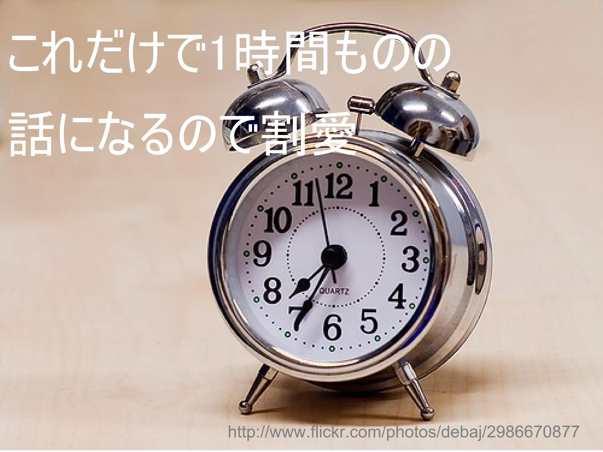 これだけで1時間ものの
話になるので割愛




     http://www.flickr.com/photos/debaj/2986670877
 