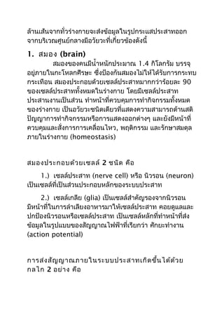 ล้านเส้นจากทั่วร่างกายจะส่งข้อมูลในรูปกระแสประสาทออก
จากบริเวณศูนย์กลางมีอวัยวะที่เกี่ยวข้องดังนี้

1. สมอง (brain)
         สมองของคนมีนำ้าหนักประมาณ 1.4 กิโลกรัม บรรจุ
อยู่ภายในกะโหลกศีรษะ ซึ่งป้องกันสมองไม่ให้ได้รับการกระทบ
กระเทือน สมองประกอบด้วยเซลล์ประสาทมากกว่าร้อยละ 90
ของเซลล์ประสาททั้งหมดในร่างกาย โดยมีเซลล์ประสาท
ประสานงานเป็นส่วน ทำาหน้าที่ควบคุมการทำากิจกรรมทั้งหมด
ของร่างกาย เป็นอวัยวะชนิดเดียวที่แสดงความสามารถด้านสติ
ปัญญาการทำากิจกรรมหรือการแสดงออกต่างๆ และยังมีหน้าที่
ควบคุมและสั่งการการเคลื่อนไหว, พฤติกรรม และรักษาสมดุล
ภายในร่างกาย (homeostasis)


สมองประกอบด้ว ยเซลล์ 2 ชนิด คือ
     1.) เซลล์ประสาท (nerve cell) หรือ นิวรอน (neuron)
เป็นเซลล์ที่เป็นส่วนประกอบหลักของระบบประสาท
     2.) เซลล์เกลีย (glia) เป็นเซลล์สำาคัญรองจากนิวรอน
มีหน้าที่ในการลำาเลียงอาหารมาให้เซลล์ประสาท คอยดูแลและ
ปกป้องนิวรอนหรือเซลล์ประสาท เป็นเซลล์หลักที่ทำาหน้าที่ส่ง
ข้อมูลในรูปแบบของสัญญาณไฟฟ้าที่เรียกว่า ศักยะทำางาน
(action potential)


การส่ง สัญ ญาณภายในระบบประสาทเกิด ขึ้น ได้ด ้ว ย
กลไก 2 อย่า ง คือ
 