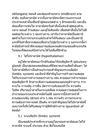 oblongata) พอนส์ และสมองส่วนกลาง (midbrain) ตาม
ลำาดับ จนถึงทาลามัส จากนั้นทาลามัสจะจัดการแยกกระแส
ประสาทเหล่านั้นเพื่อเข้าสู่สมองเขตต่าง ๆ อีกทอดหนึ่ง และเมื่อ
สมองสั่งการเช่นใด ทาลามัสจะรับคำาสั่งนั้นส่งเข้าสู่สมองส่วน
กลาง พอนส์ ก้านสมอง และสู่ไขสันหลัง เพื่อส่งคำาสั่งนั้นให้ไปมี
ผลต่ออวัยวะต่าง ๆ ของร่างกาย เท่ากับว่าทาลามัสเป็นสถานี
สุดท้ายในการจ่ายกระแสประสาทให้กับสมอง และเป็นสถานี
แรกที่รับคำาสั่งจากสมองเพื่อจ่ายไปสู่อวัยวะต่าง ๆ นอกจากนี้ทา
ลามัสยังทำาหน้าที่ควบคุมอารมณ์และพฤติกรรมของเด็กแรกเกิด
ในขณะที่สมองแท้ยังทำางานได้ไม่เต็มทีอีกด้วย
                                       ่
    4.) ไฮโปทาลามัส (hypothalamus)
     อยู่ใต้ทาลามัสลงมาใกล้กับต่อมไร้ท่อพิทูอิทารี (pituitary
gland) เป็นกลุ่มของเซลล์สมองที่มีขนาดเท่าเมล็ดถั่วลันเตา ไฮ
โปทาลามัสถือว่าเป็นส่วนประกอบสำาคัญของระบบลิมบิก
(limbic system) และมีหน้าที่สำาคัญในการสร้างความสมดุล
ให้กับระบบการทำางานของร่างกาย เช่น ควบคุมการทำางานของ
ต่อมพิทูอิทารี รักษาระดับความสมดุลของอุณหภูมิร่างกาย การ
หายใจ การหลับ การตื่น อัตราการเต้นของหัวใจ ความดัน
โลหิต ปริมาณนำ้าตาลในกระแสเลือด ควบคุมความสมดุลในการ
ทำางานของระบบประสาทอัตโนมัติ นอกจากนี้ยังทำาหน้าที่
ควบคุมแรงขับ (drive) ต่าง ๆ เช่น ความหิว ความกระหาย
ความต้องการทางเพศ เป็นต้น ความสำาคัญของไฮโปทาลามัสนี้
เองบางครั้งจึงได้รับสมญาว่าผู้พิทักษ์ร่างกาย (guardian of
body)
    5.) ระบบลิมบิก (limbic system)
    เป็นเซลล์ประสาทที่กระจายอยู่โดยรอบทาลามัสและไฮโป
ทาลามัส ระบบนี้ ประกอบ ด้วย ฮิปโปแคมปัส
 
