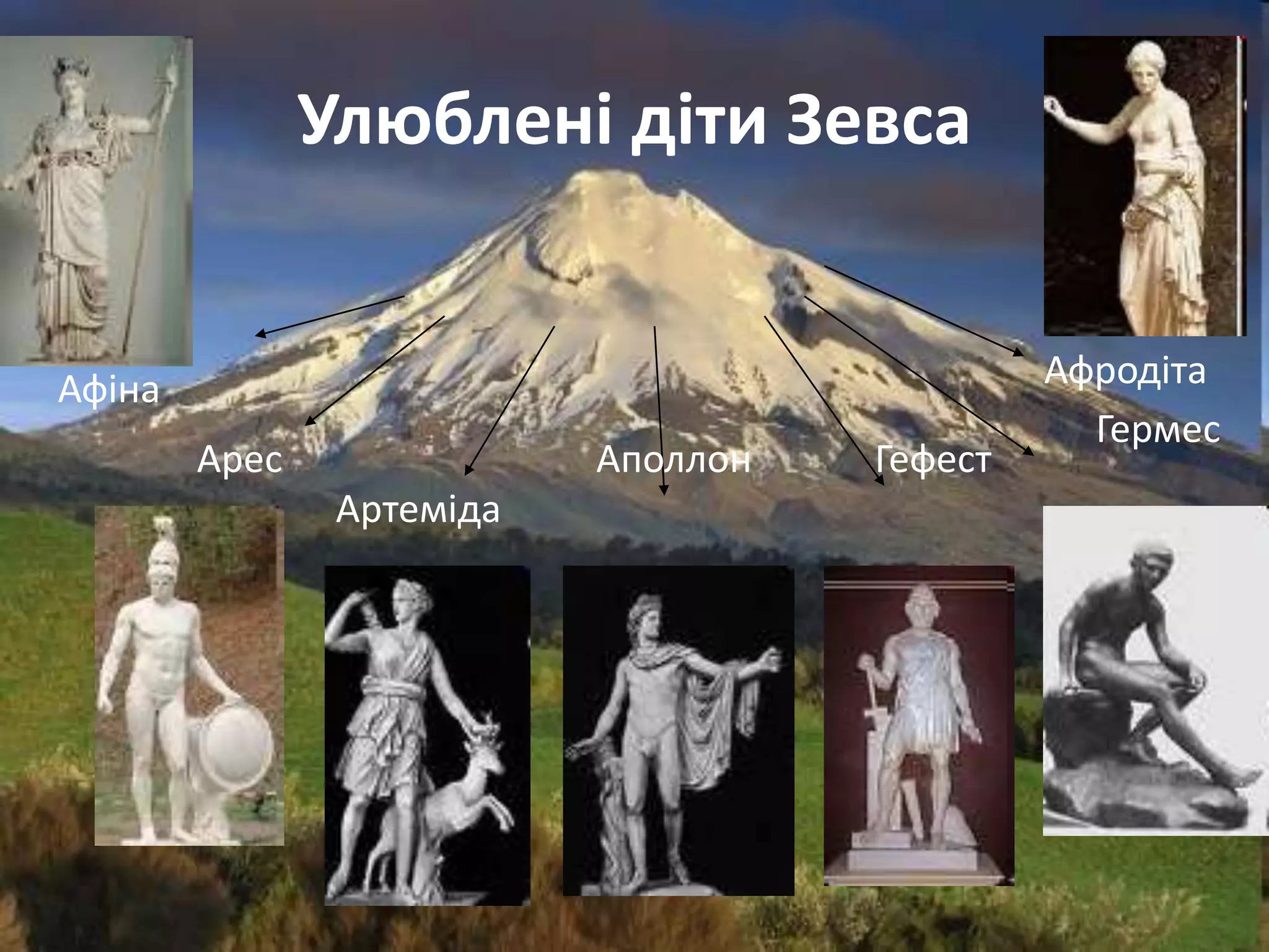 Улюблені діти Зевса

                                               Афродіта
Афіна                                         Афродіта
                                                Гермес
        Арес               Аполлон   Гефест
                Артеміда
 