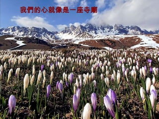 我們的心就像是一座寺廟
 