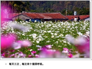 • 每天三次，每次來十個深呼吸。
 