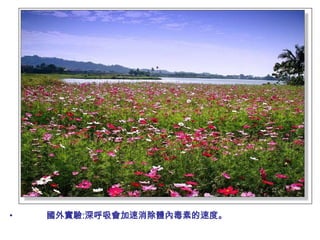 •   國外實驗:深呼吸會加速消除體內毒素的速度。
 