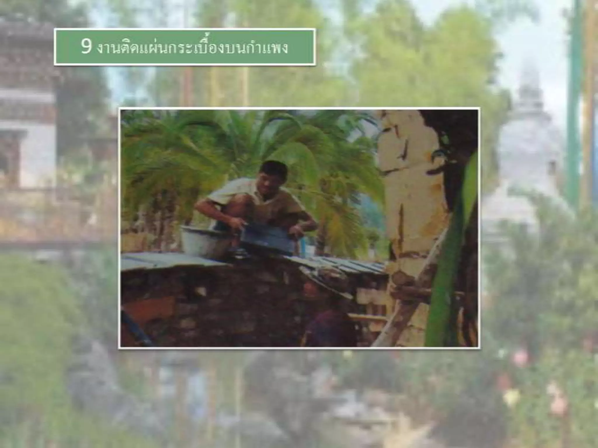 LANDSCAPE   CONSTRUCTION  STUDY  PROJECT  OF  INTERNATIONAL  OUTDOOR  GARDEN  OF  BUHTAN  HORTICULTURAL  EXPOSITION  FOR  HIS  MAJESTY  THE  KING ROYAL FLORA RATCHAPHRCEK 2006  CHIANGMAI  PROVINCE