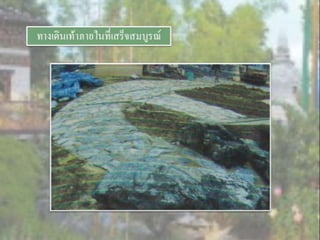 LANDSCAPE   CONSTRUCTION  STUDY  PROJECT  OF  INTERNATIONAL  OUTDOOR  GARDEN  OF  BUHTAN  HORTICULTURAL  EXPOSITION  FOR  HIS  MAJESTY  THE  KING ROYAL FLORA RATCHAPHRCEK 2006  CHIANGMAI  PROVINCE