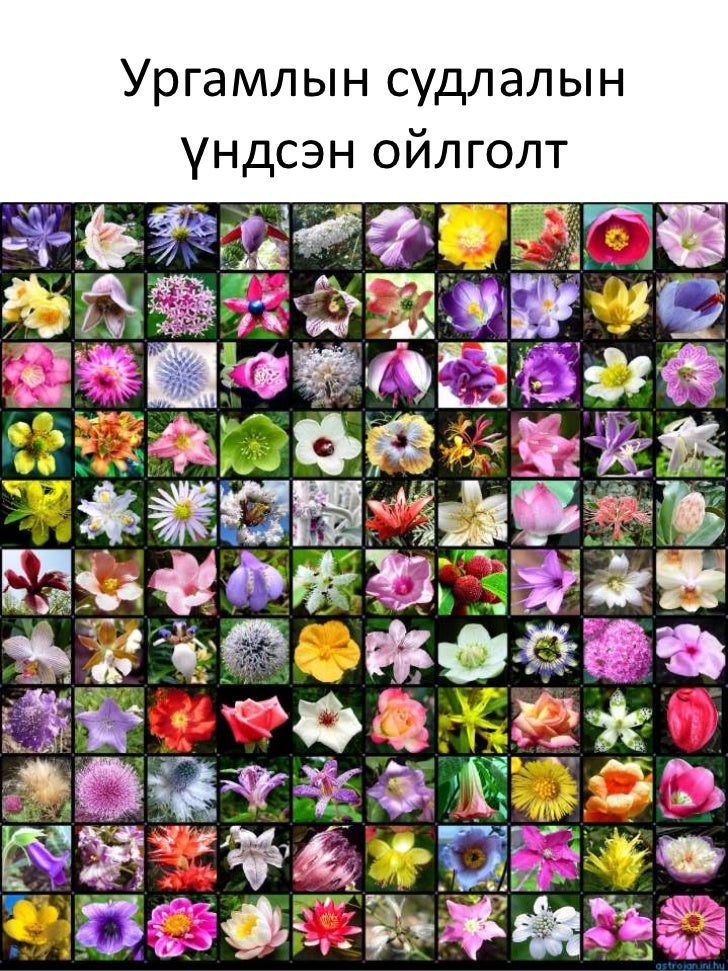 Ургамлын судлалын үндсэн ойлголт