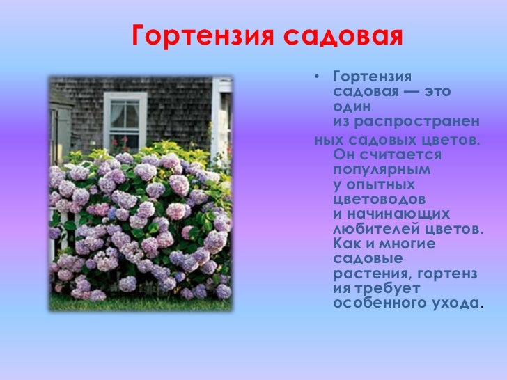 Сделай сам своими руками септик для дачи 89 Сделай сам своими руками септик для дачи 9