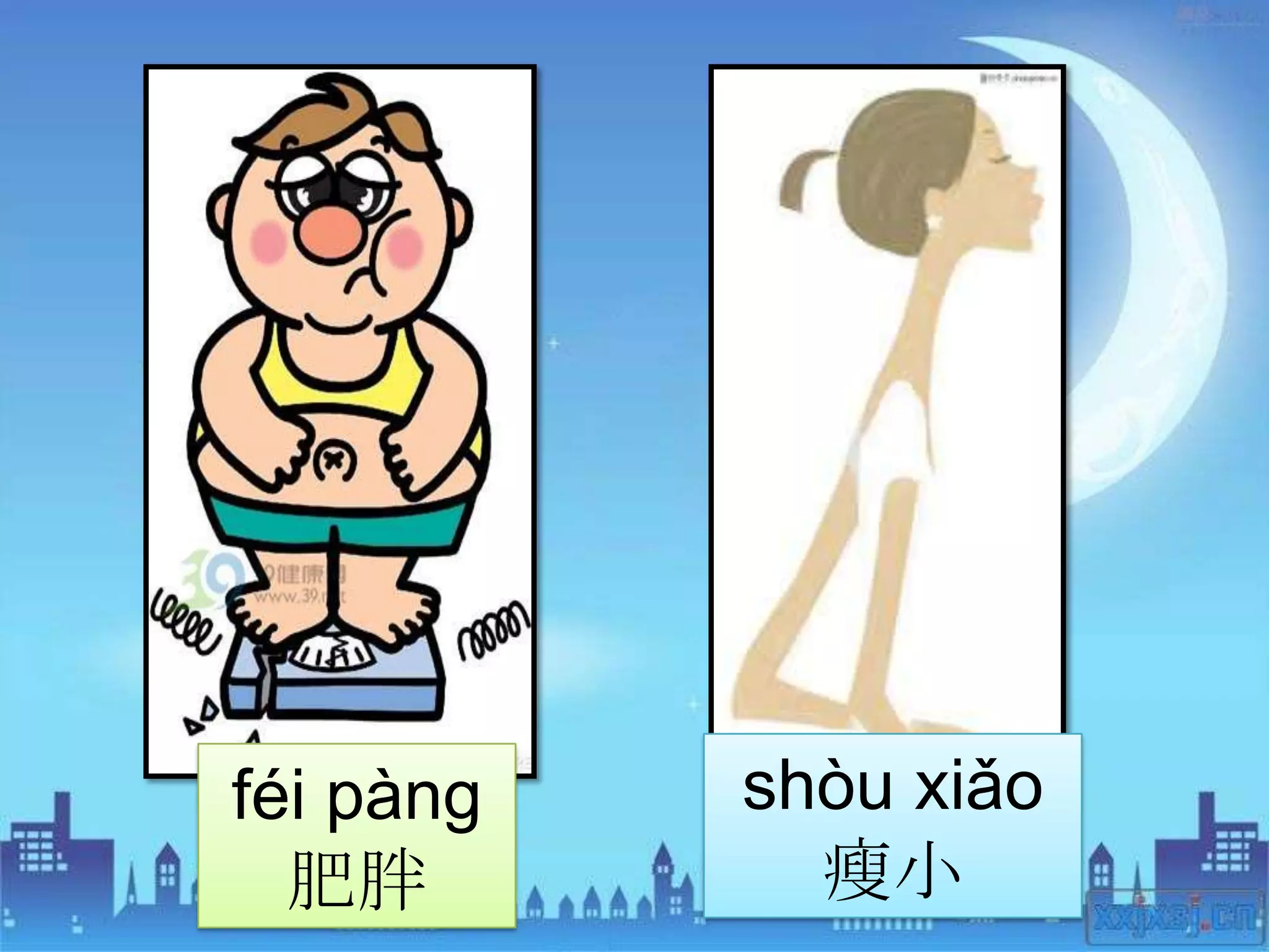 féi pàng   shòu xiǎo
  肥胖         瘦小
 