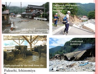 Collapsed road inhibits
                                         the workers to go
                                         forward




               Village road completely
               under the flooding
               water

                                                       Cattle-shed
                                                       destroyed




Cattle covered by the mud from the
flood
Fukuchi, Ichinomiya
 