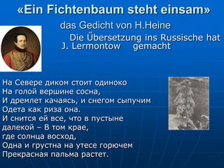 «Ein Fichtenbaum steht einsam»
             das Gedicht von H.Heine
               Die Űbersetzung ins Russische hat
             J. Lermontow gemacht



На Севере диком стоит одиноко
На голой вершине сосна,
И дремлет качаясь, и снегом сыпучим
Одета как риза она.
И снится ей все, что в пустыне
далекой – В том крае,
где солнца восход,
Одна и грустна на утесе горючем
Прекрасная пальма растет.
 