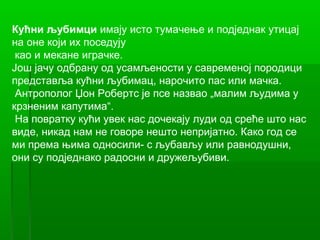 Кућни љубимци имају исто тумачење и подједнак утицај
на оне који их поседују
 као и мекане играчке.
Још јачу одбрану од усамљености у савременој породици
представља кућни љубимац, нарочито пас или мачка.
 Антрополог Џон Робертс је псе назвао „малим људима у
крзненим капутима“.
 На повратку кући увек нас дочекају луди од среће што нас
виде, никад нам не говоре нешто непријатно. Како год се
ми према њима односили- с љубављу или равнодушни,
они су подједнако радосни и дружељубиви.
 