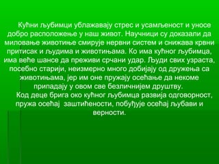 Кућни љубимци ублажавају стрес и усамљеност и уносе
 добро расположење у наш живот. Научници су доказали да
миловање животиње смирује нервни систем и снижава крвни
 притисак и људима и животињама. Ко има кућног љубимца,
има веће шансе да преживи срчани удар. Људи свих узраста,
  посебно старији, неизмерно много добијају од дружења са
     животињама, јер им оне пружају осећање да некоме
         припадају у овом све безличнијем друштву.
    Код деце брига око кућног љубимца развија одговорност,
    пружа осећај заштићености, побуђује осећај љубави и
                          верности.
 