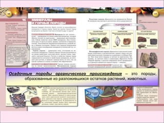 Осадочные породы органического происхождения – это породы,
      образованные из разложившихся остатков растений, животных.
 