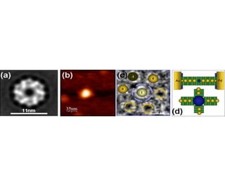 פיסיקה כימיה